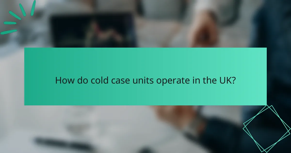 How do cold case units operate in the UK?