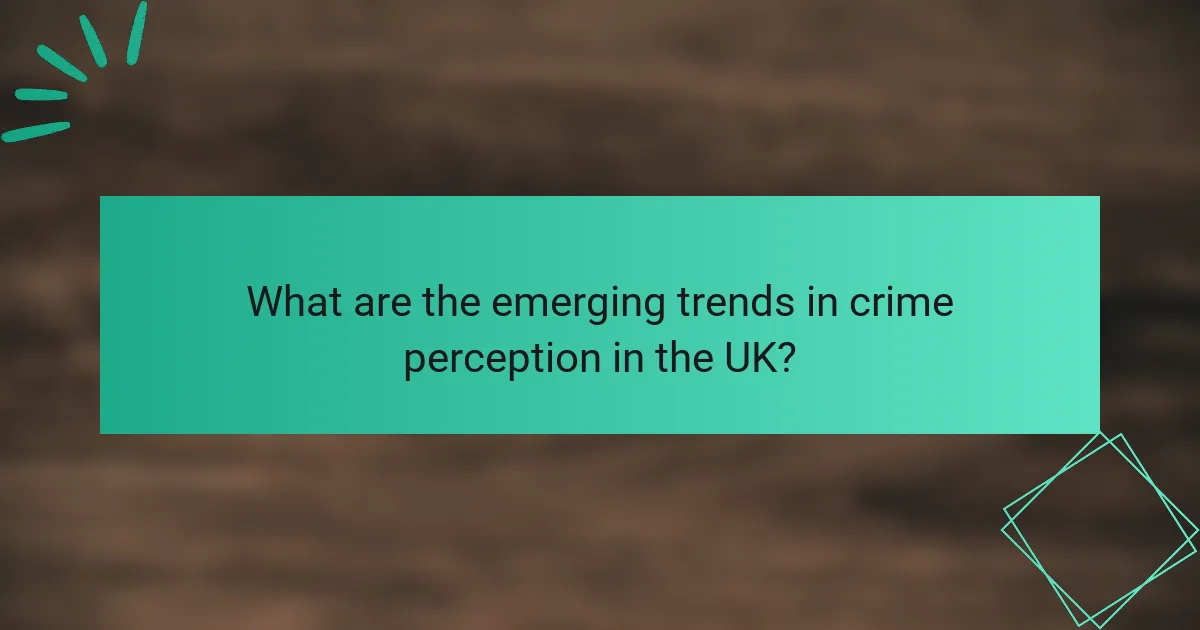 What are the emerging trends in crime perception in the UK?