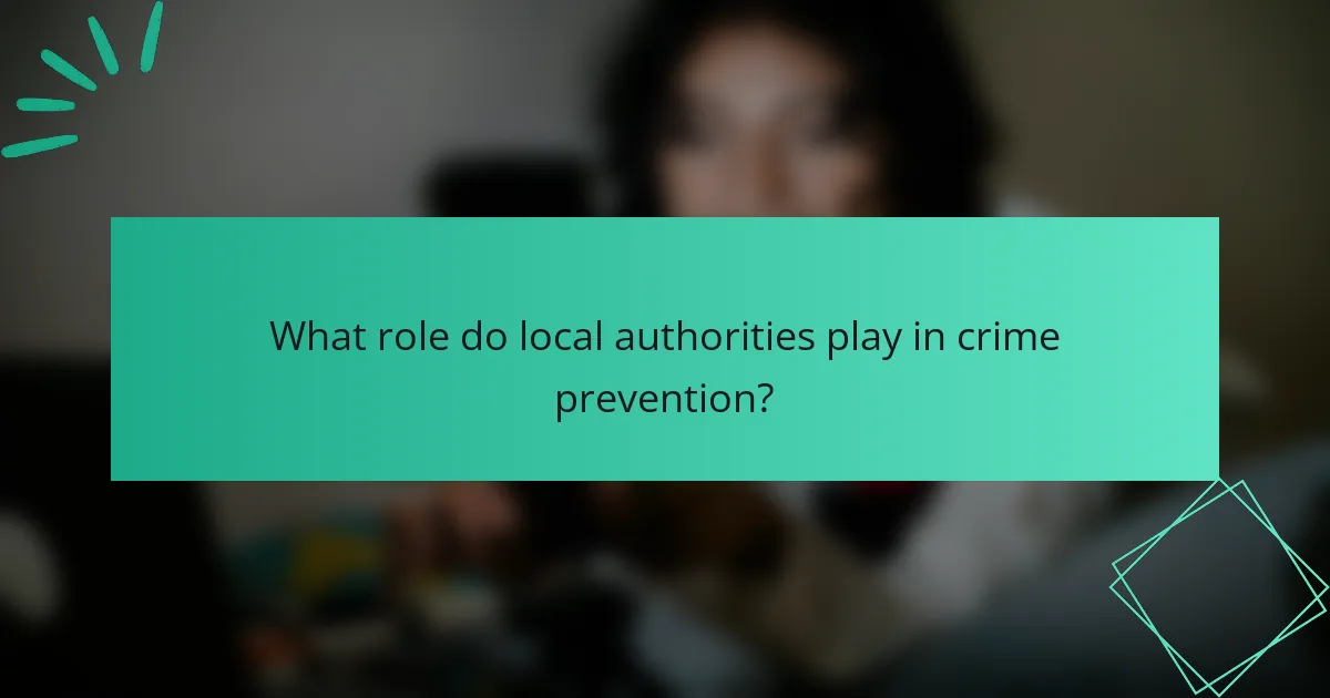 What role do local authorities play in crime prevention?